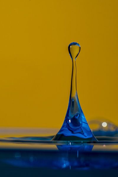 Balanceakt vor gelbem HG von Thomas Riess