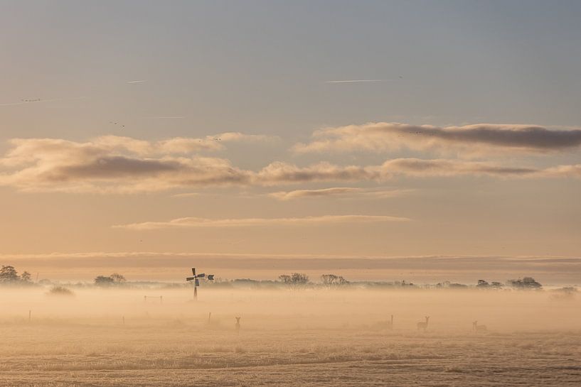 Sunrise with fog and deer by Lydia