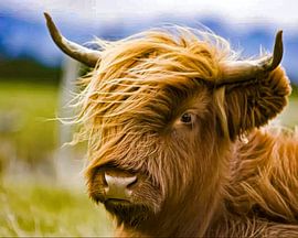 Scottish Highlander Calf