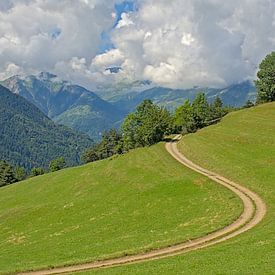 Kurvenreiche Landstraße durch eine Wiese in den französischen Alpen von Kristof Lauwers