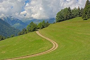 Kurvenreiche Landstraße durch eine Wiese in den französischen Alpen