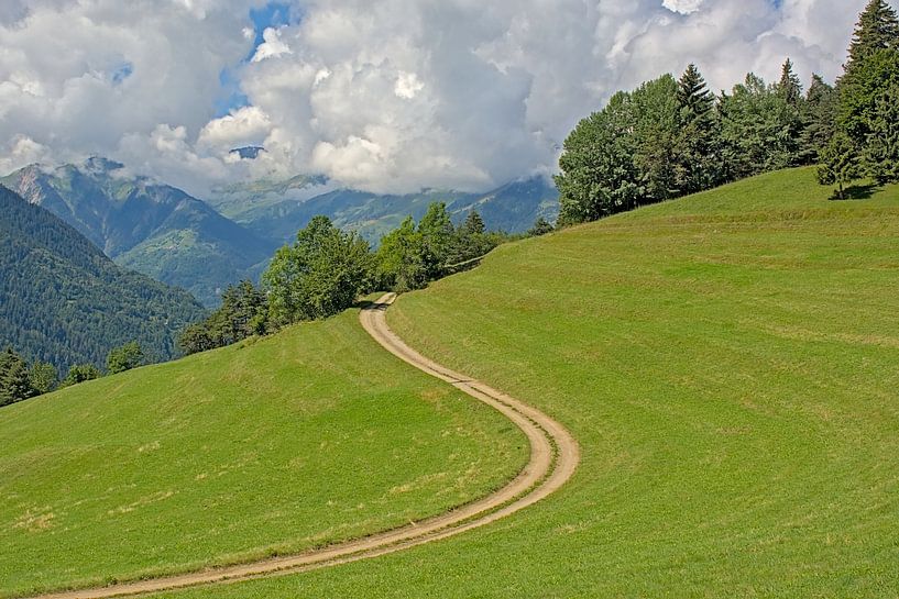 Winding country road through a meadow in the French Alps by Kristof Lauwers