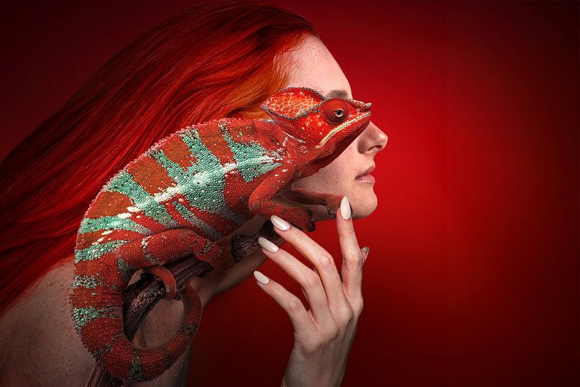 RedFriends by Marcel Egger