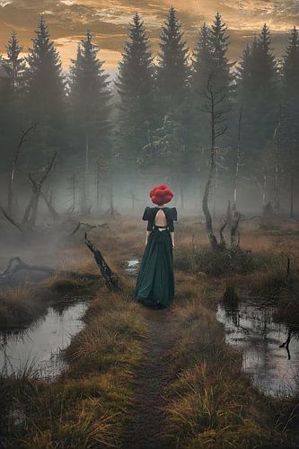 Forêt-Noire Mystic Lady 4.0 sur Ingo Laue