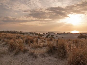 Zomeravond aan zee van Rinke Velds