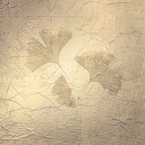 Ginkgo. Ein nebliger Morgen. 3