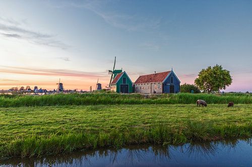 Molen in Nederland van Kevin Nugter