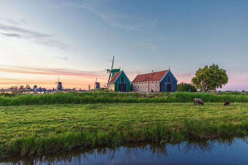 Mill in the Netherlands by Fotograaf Kevin Nugter