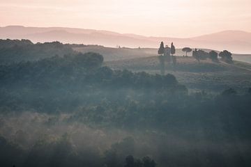 Morgendlicher Nebel von Kimberley Jekel