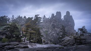 Résine avec vue sur Steffen Henze