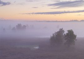 Foggy sunrise Duurswouderheide (Netherlands) by Marcel Kerdijk