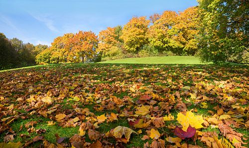 Westpark München Herfstlandschap