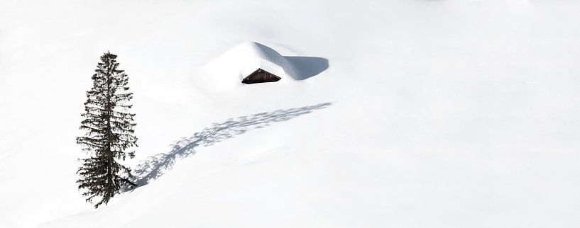 Einsame Hütte und ein Baum im Schnee von Frank Herrmann