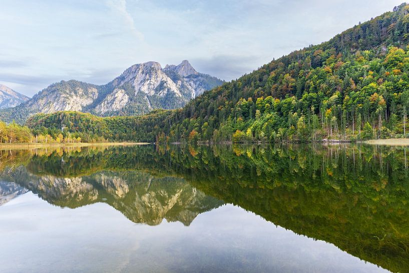In the mirror of silence by Walter G. Allgöwer