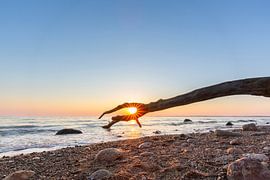 Brodtener Steifufer von Sven-Erik Arndt