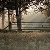Le soleil se couche sur une clôture dans les bois sur Miranda Heemskerk