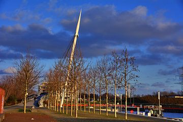 Arbres et piliers de pont