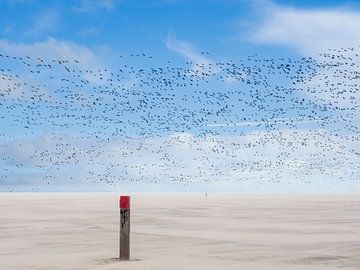 Vogelperspektive bei Sandsturm von Jan Huneman
