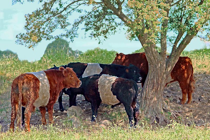 Group of cows standing under a tree (edited photo) by Wieland Teixeira