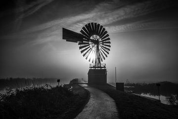 Amerikanische Windmühle von Johanna Blankenstein