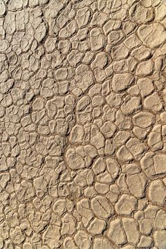 Sol argileux Deadvlei Namibie