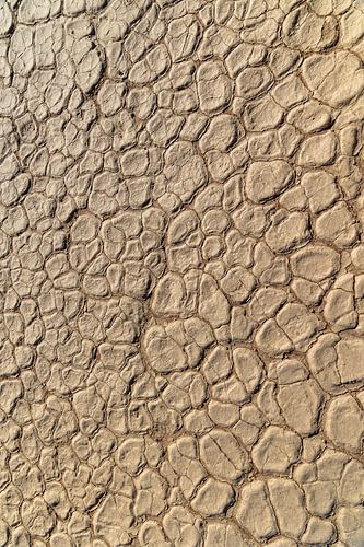 Kleigrond Deadvlei Namibië