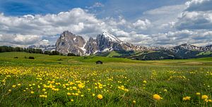 Frühling auf der Seiseralm