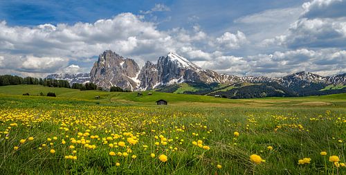 Spring on the Alpe di Siusi by Teun Ruijters