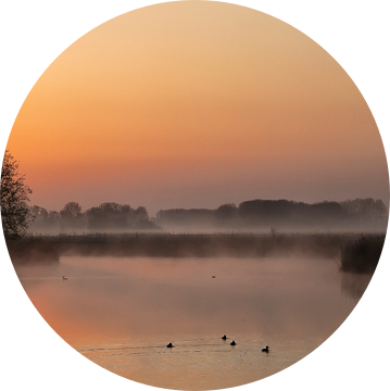 Nature Awakens I van Ellen Driesse