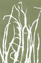 Wit gras in Japandi stijl. Moderne botanische kunst in pastel warm groen en wit. van Dina Dankers thumbnail