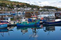 Harbor of Tabbert