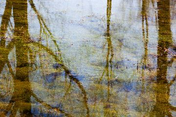 Bomen reflecties in stilstaand water met waterplanten van Peter de Kievith Fotografie