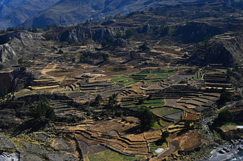 COLCA - TAL 1