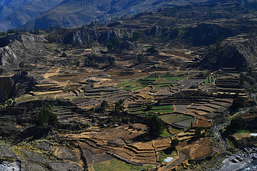 COLCA - TAL 1