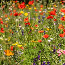 Veldboeket met een prachtig kleurenpalet van wilde bloemen van John Kreukniet