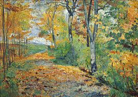Scène automnale impressionniste dans les bois, mettant en scène un sentier baigné de soleil