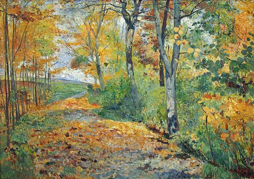 Impressionistisch herfstlandschap met een zonovergoten pad
