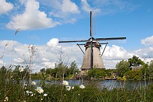 Kinderdijk