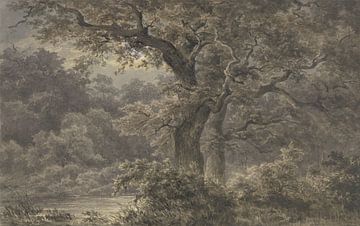 JOHANN WILHELM SCHIRMER, Eikenbomen in het bos van Atelier Liesjes