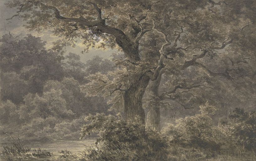 JOHANN WILHELM SCHIRMER, Eikenbomen in het bos von Atelier Liesjes