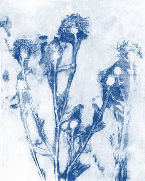 Modern abstract meadow flowers in blue on white. Botanical monoprint by Dina Dankers