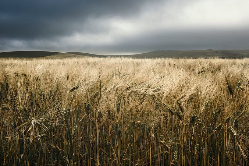 Landschaft Mütze Griz Nez von Peter Poppe