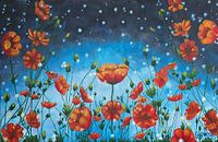 Poppies in the night