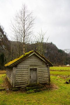 Noorse berghut van Coen Feron