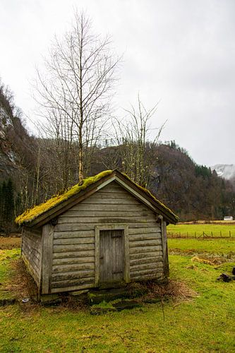 Cabane de montagne norvégienne