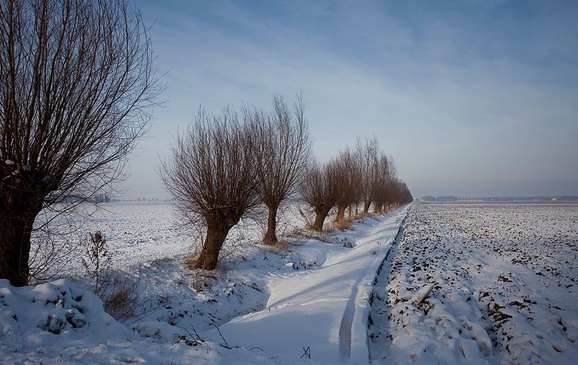 Fietspad Noordoostpolder met wilgen in de sneeuw by Juul Baars