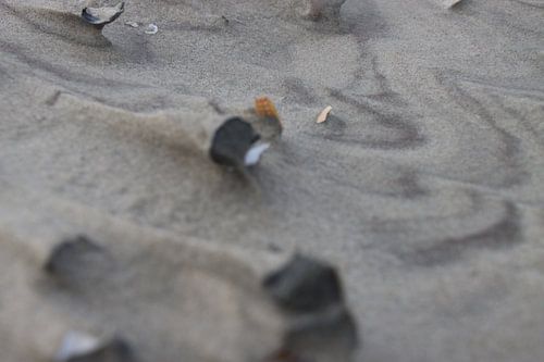 Strandkunst met mooi lijnenspel om schelpen heen van Eibert van de Glind