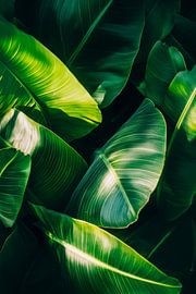 Green leaves by Poster Art Shop