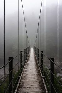 Die Fußgängerbrücke in den Wäldern von Yakushima