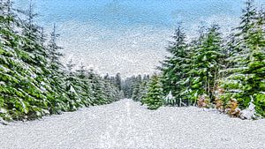 Winter Landscape with Snow and Conifers